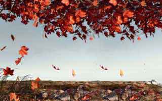 产品运营工作阶段目标，产品运营工作阶段目标和计划