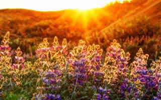 产品运营工作阶段目标，产品运营工作阶段目标和计划