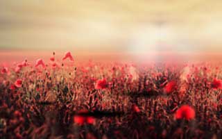 自媒体运营工资条图片，自媒体运营工作怎么样