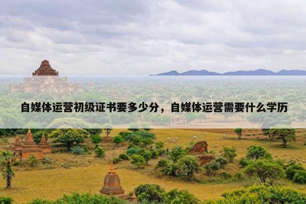 自媒体运营初级证书要多少分，自媒体运营需要什么学历