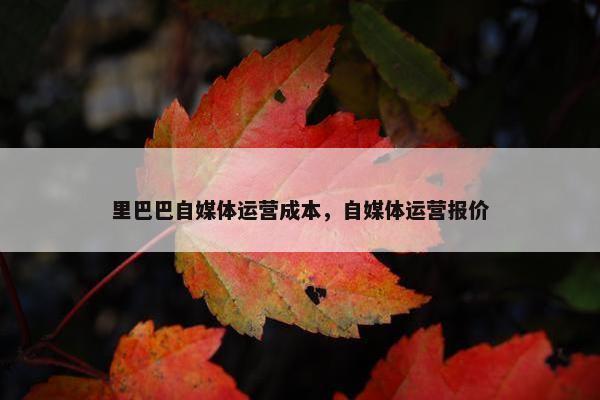 里巴巴自媒体运营成本，自媒体运营报价