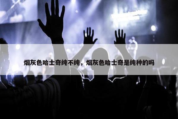 烟灰色哈士奇纯不纯，烟灰色哈士奇是纯种的吗