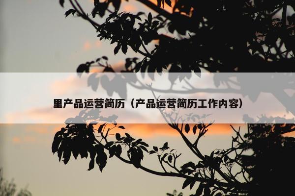 里产品运营简历（产品运营简历工作内容）