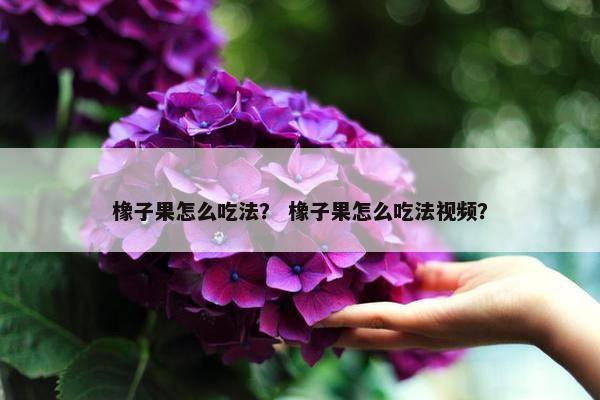 橡子果怎么吃法？ 橡子果怎么吃法视频？