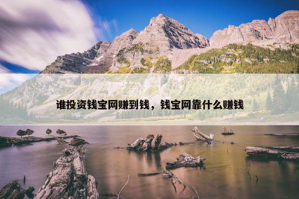 谁投资钱宝网赚到钱，钱宝网靠什么赚钱