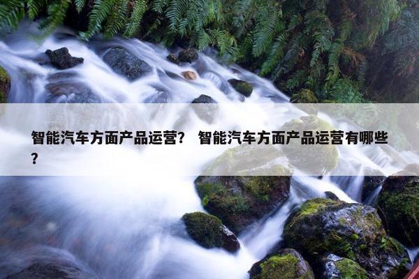 智能汽车方面产品运营？ 智能汽车方面产品运营有哪些？