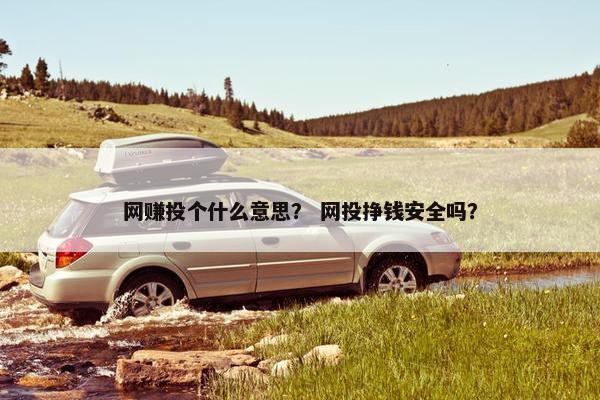 网赚投个什么意思？ 网投挣钱安全吗？