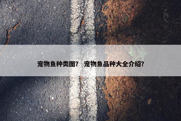 宠物鱼种类图？ 宠物鱼品种大全介绍？