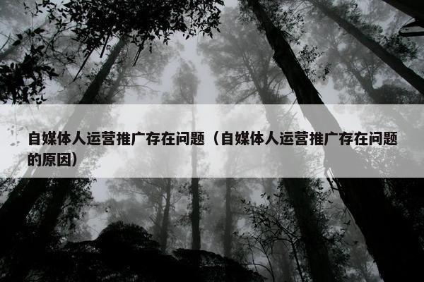 自媒体人运营推广存在问题（自媒体人运营推广存在问题的原因）