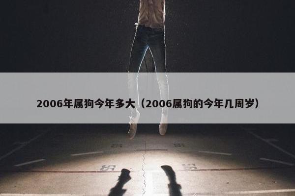 2006年属狗今年多大（2006属狗的今年几周岁）