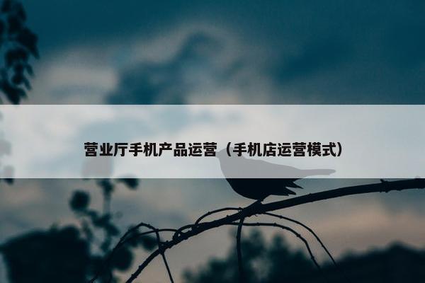 营业厅手机产品运营（手机店运营模式）