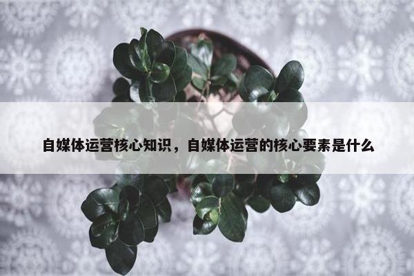 自媒体运营核心知识，自媒体运营的核心要素是什么