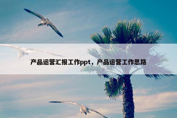 产品运营汇报工作ppt，产品运营工作思路