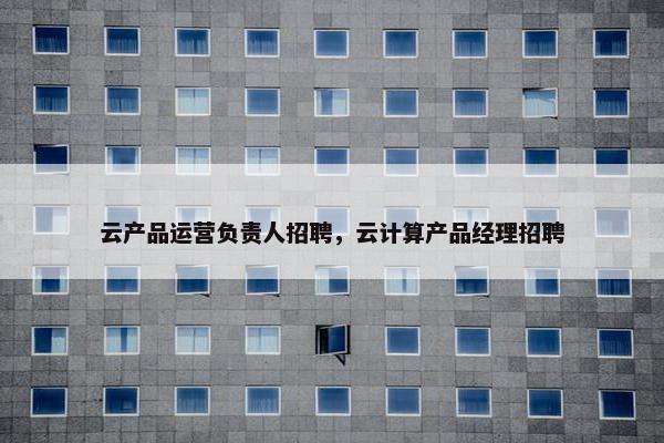 云产品运营负责人招聘，云计算产品经理招聘