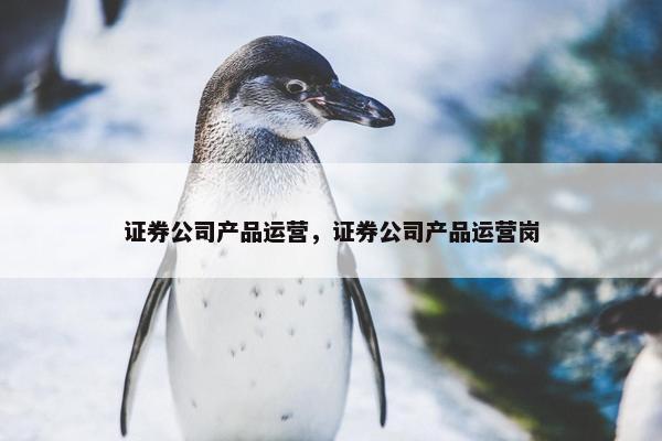 证券公司产品运营，证券公司产品运营岗