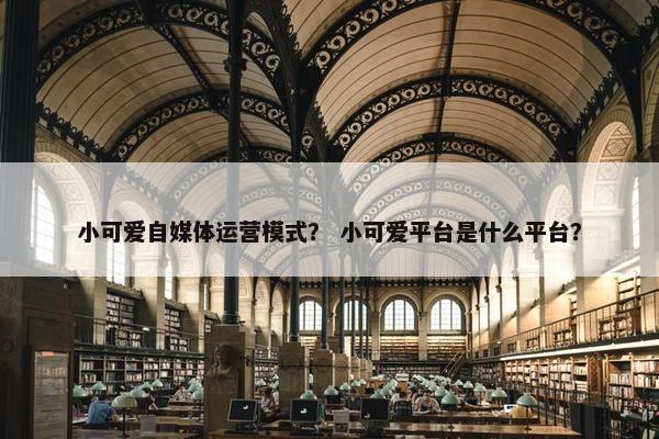 小可爱自媒体运营模式？ 小可爱平台是什么平台？