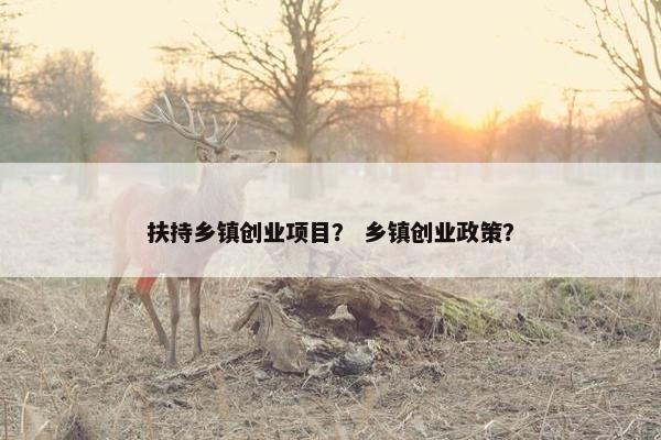 扶持乡镇创业项目？ 乡镇创业政策？