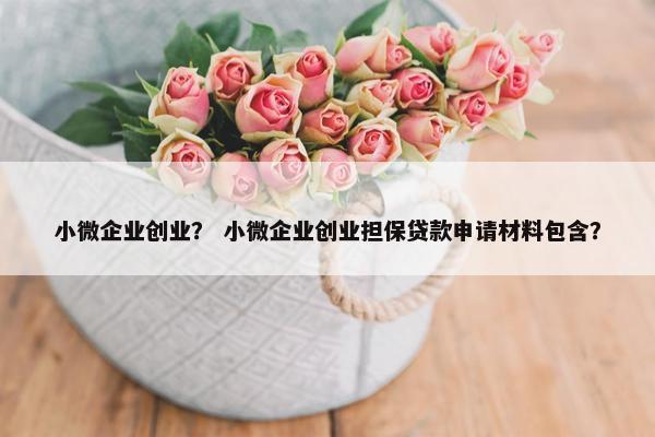 小微企业创业？ 小微企业创业担保贷款申请材料包含？