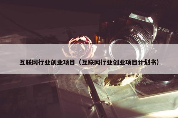 互联网行业创业项目（互联网行业创业项目计划书）
