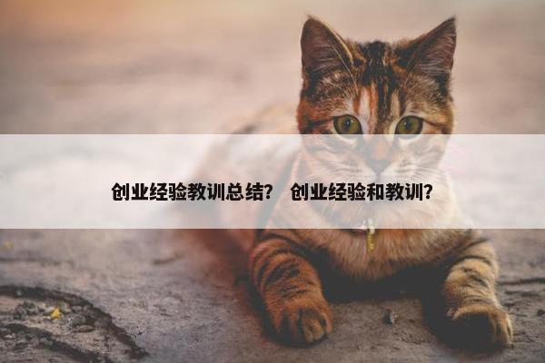 创业经验教训总结？ 创业经验和教训？