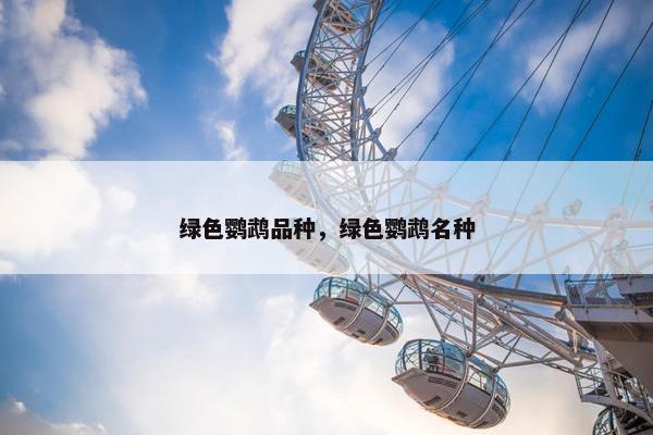 绿色鹦鹉品种，绿色鹦鹉名种