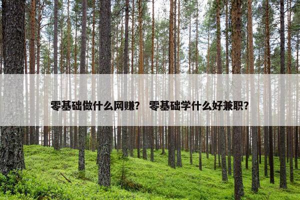 零基础做什么网赚？ 零基础学什么好兼职？