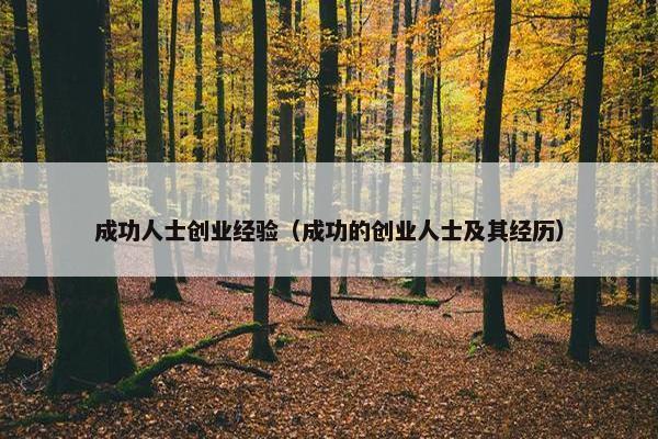 成功人士创业经验（成功的创业人士及其经历）
