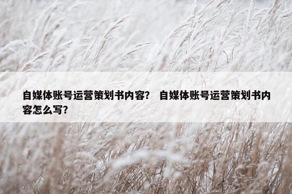 自媒体账号运营策划书内容？ 自媒体账号运营策划书内容怎么写？