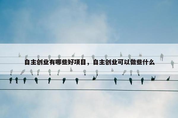 自主创业有哪些好项目，自主创业可以做些什么