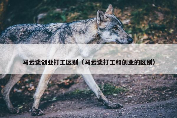 马云谈创业打工区别（马云谈打工和创业的区别）