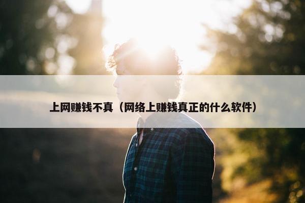 上网赚钱不真（网络上赚钱真正的什么软件）