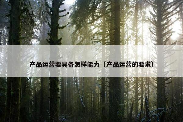 产品运营要具备怎样能力（产品运营的要求）