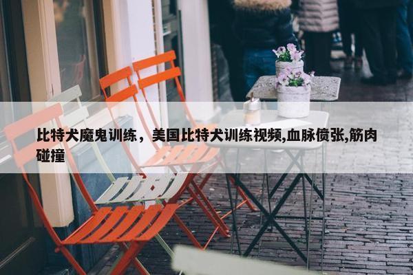 比特犬魔鬼训练，美国比特犬训练视频,血脉偾张,筋肉碰撞