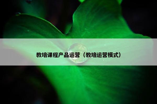 教培课程产品运营（教培运营模式）
