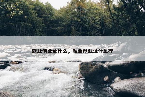 就业创业证什么，就业创业证什么样