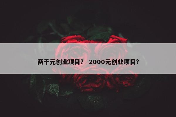 两千元创业项目？ 2000元创业项目？