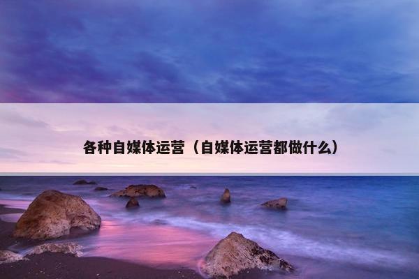 各种自媒体运营（自媒体运营都做什么）