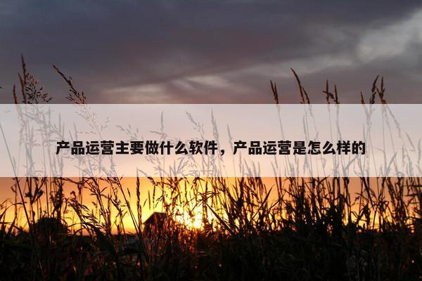 产品运营主要做什么软件，产品运营是怎么样的