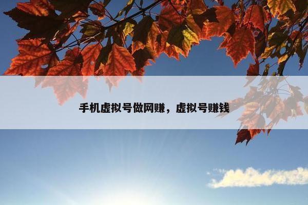 手机虚拟号做网赚，虚拟号赚钱
