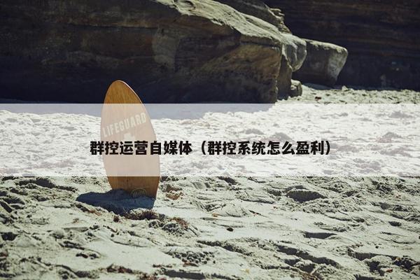 群控运营自媒体（群控系统怎么盈利）