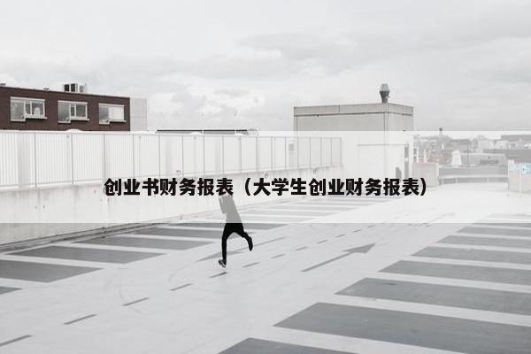 创业书财务报表（大学生创业财务报表）
