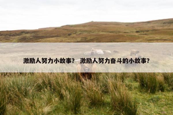 激励人努力小故事？ 激励人努力奋斗的小故事？