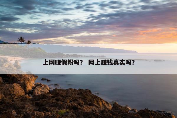上网赚假粉吗？ 网上赚钱真实吗？