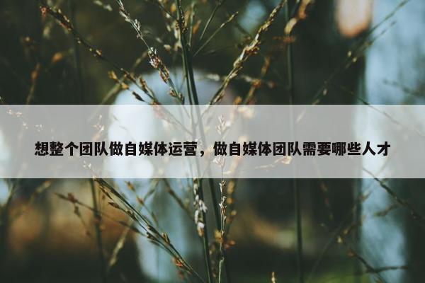 想整个团队做自媒体运营，做自媒体团队需要哪些人才