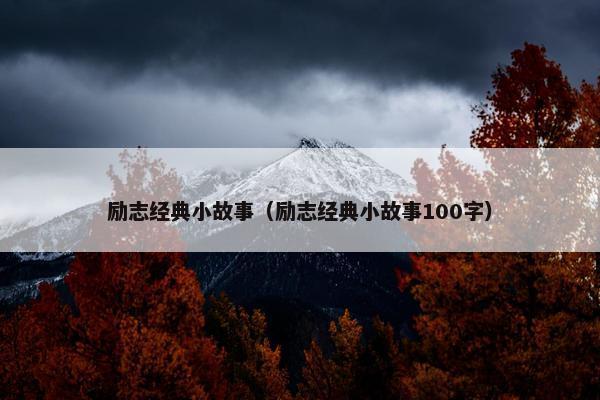 励志经典小故事（励志经典小故事100字）