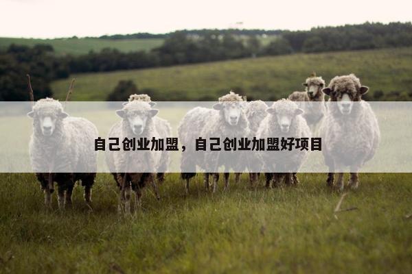 自己创业加盟，自己创业加盟好项目