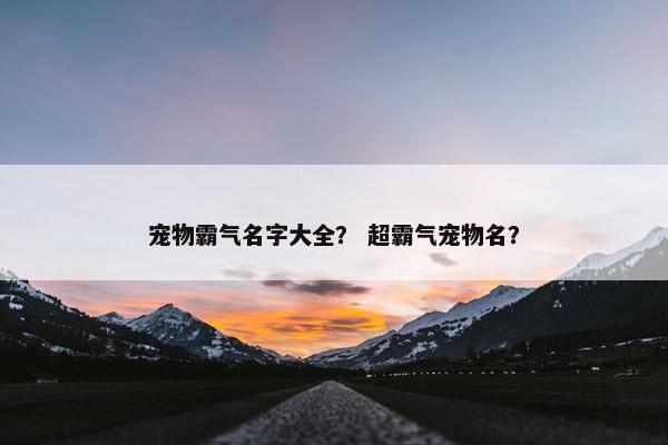 宠物霸气名字大全？ 超霸气宠物名？