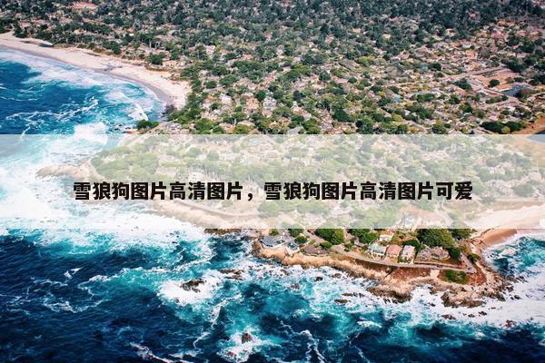 雪狼狗图片高清图片，雪狼狗图片高清图片可爱