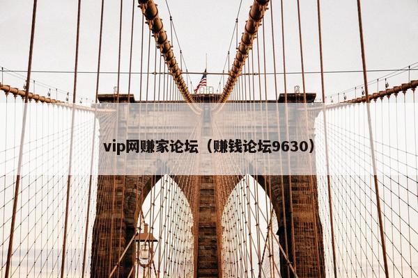 vip网赚家论坛（赚钱论坛9630）