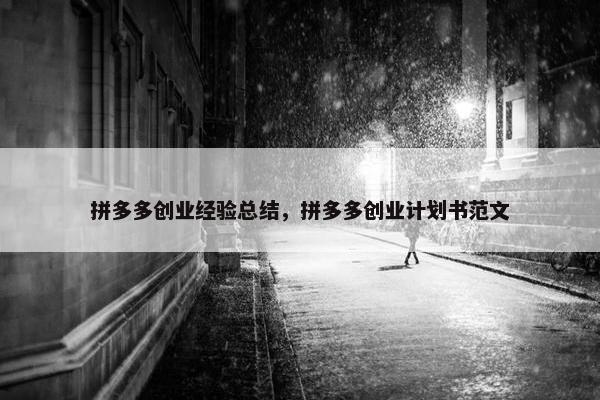 拼多多创业经验总结，拼多多创业计划书范文